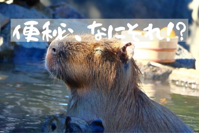 便秘気味なあなた お風呂タイムをムダに過ごしていませんか おふろタンサック